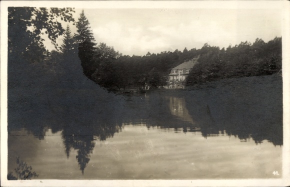 Ak Eilenburg an der Mulde, Ferienheim Eisenhammer, Dübener Heide, Wasserreflexionen, Bäume