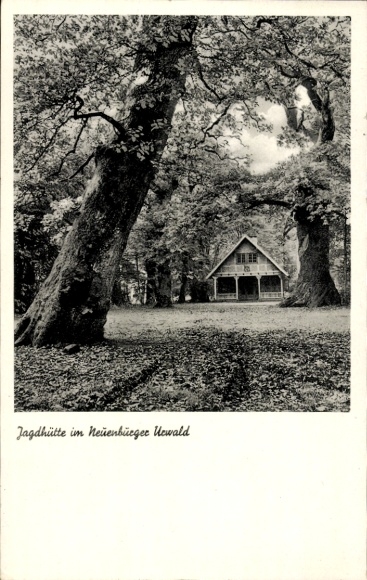 Postcard Zetel in Oldenburg Friesland, hunting lodge in the Neuenburg forest