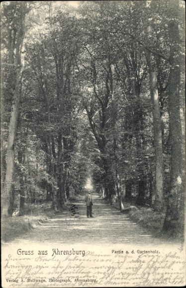 Ak Ahrensburg in Holstein, Allee mit Bäumen, Mensch in der Ferne, nmotiv, Verlag A. Hellwage