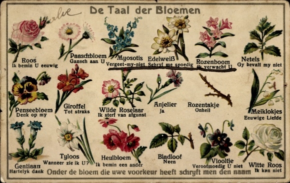 Embossed Postcard Flower Language, Roses, Forget-me-nots, Pansies, Violets