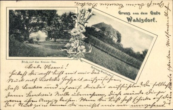 Postcard Wahlsdorf Dahme in the Mark, Kronen-See, Wahlsdorf