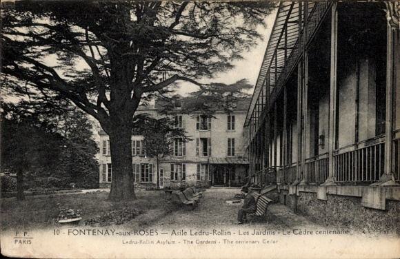 Postcard Fontenay aux Roses Hauts de Seine, Asile Ledru-Rollin, Les Jardins, Le Cèdre centenaire