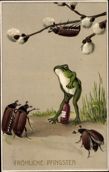 PC congratulations Pentecost, frog opens a wine bottle, cockchafer