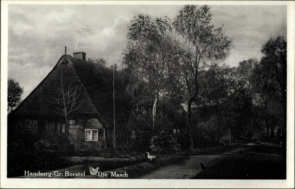 Postcard Hamburg Groß Borstel, Die Masch