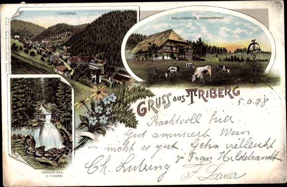 Chromo-Litho Triberg in the Black Forest, general view, waterfall, Black Forest farmhouse, cows