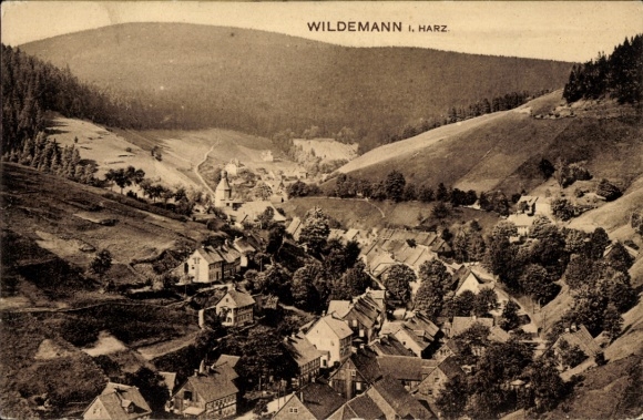 Ak Wildemann Clausthal Zellerfeld im Oberharz, Vielseitige Landschaft, kleine Häuser, bewaldet...