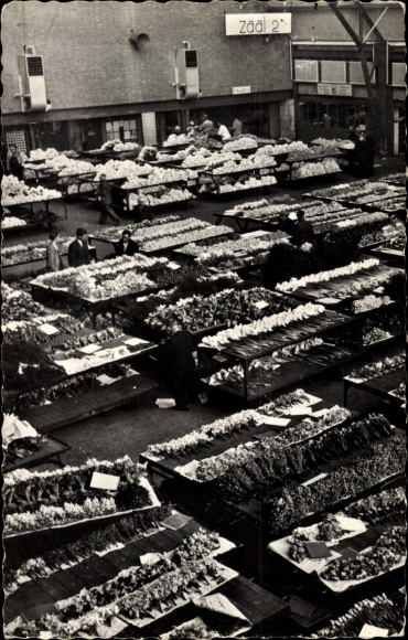 PC Aalsmeer North Holland Netherlands, flower auction hall