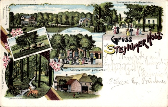 Chromo-Litho Stenum Ganderkesee Lower Saxony, garden with hall, summer restaurant Backenköhler