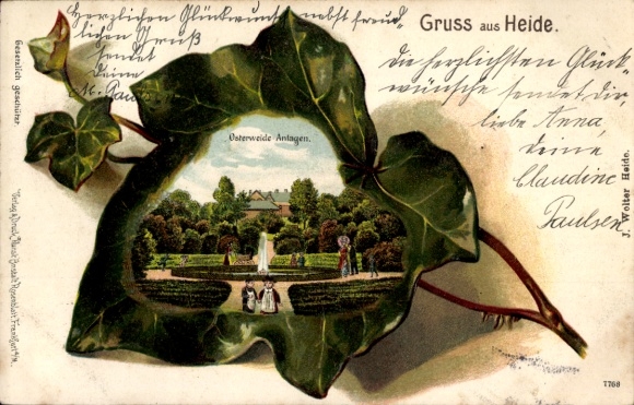 Ivy leaf litho heath in Holstein, Easter willow plants
