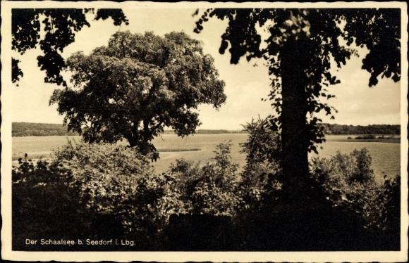Postcard Seedorf in Lauenburg, view of Schaalsee