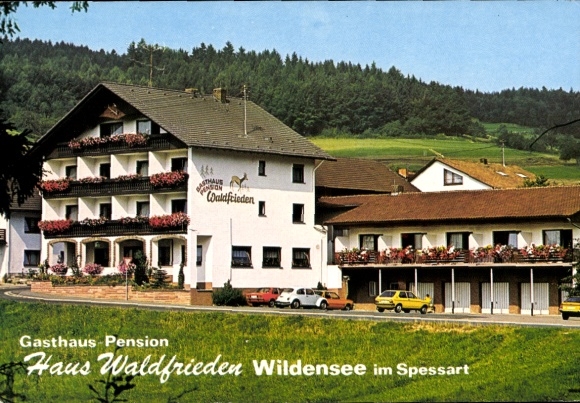 Postcard Wildensee Eschau im Spessart, Haus Waldfrieden, exterior view, cars, balcony