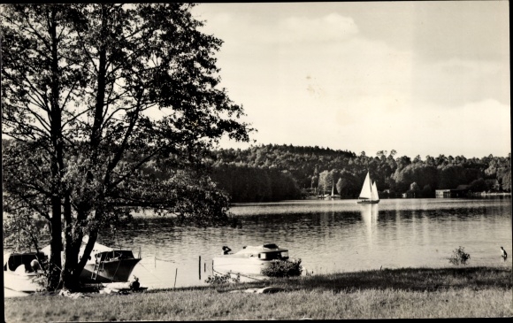 Postcard Werbellin Schorfheide Barnim, Werbellinsee, sailing boat