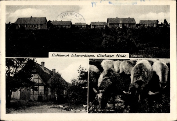 Postcard Schneverdingen in the Lüneburg Heath, climatic health resort Schneverdingen, holiday village, Heidschnucken,