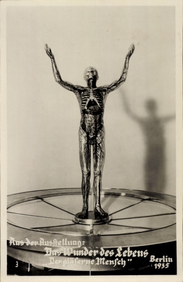 Postcard exhibition The Miracle of Life, Berlin 1935, The Glass Man