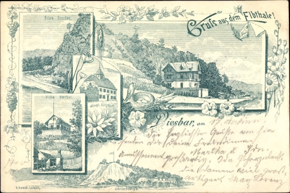Litho Diesbar Seusslitz in Saksen, Villa Herbst, Königl. Boshuis, Görischberge, Elbedal