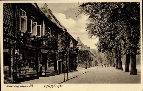Postcard Ludwigslust in Mecklenburg, Schloss-Strasse, business