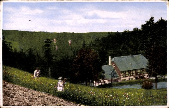 Ak Ansprung Marienberg im Erzgebirge, Naturlandschaft, Hüttstadtmühle, blühende Wiese, zwei Pe...