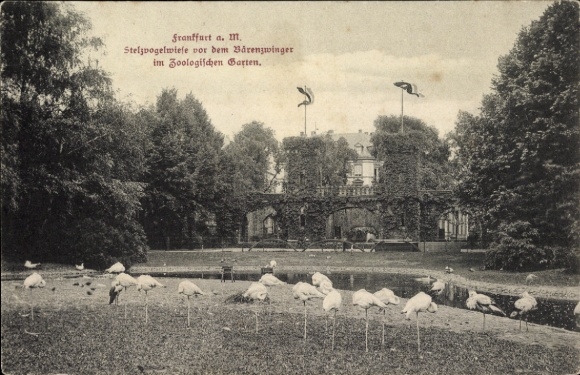 Ak Frankfurt am Main, Oberschweinstiege, Stelzvogelwiese, Bärenzwinger, Zoologischer Garten, Fran