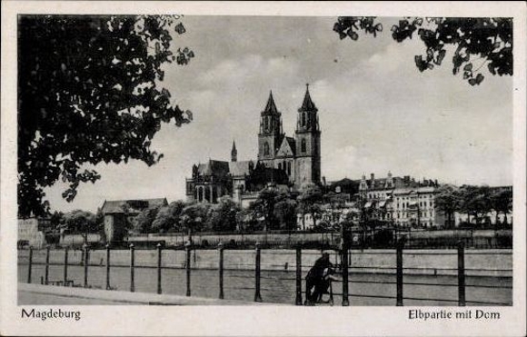 49 Ak Magdeburg Elbe, diverse Ansichten, kleinformatig