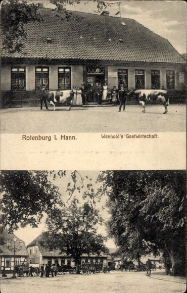 Postcard Rotenburg an der Wümme, cattle in front of Wenhold's inn, street scene