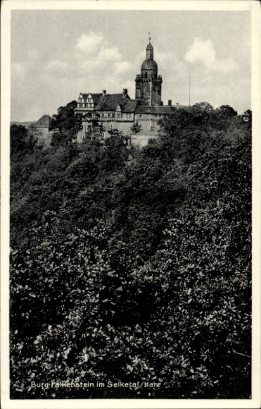 Ak Falkenstein in het Harzgebergte, Selketal, Falkenstein Castle, in het Selketal, bos, architectuur