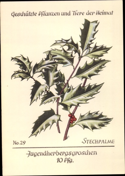 Artist Postcard Protected plants and animals of the homeland, youth hostel pennies, holly