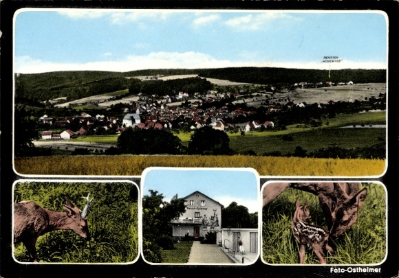 Postcard Geiselbach in Lower Franconia, Pension Hubertus, Panorama, red deer, fawn