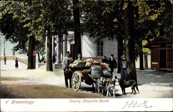 Postcard &#39;s Gravenhage The Hague South Holland, Ingang Haagsche Bosch, dog cart