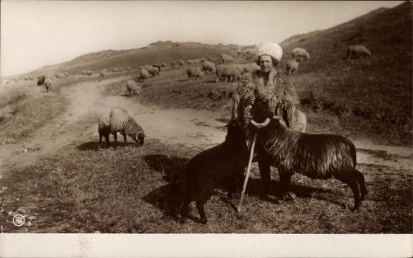 Postcard Romania Man in Romanian costume, shepherd, sheep