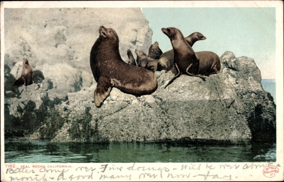 Ak Kalifornien USA, Seal Rocks