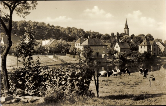 Postcard Friedrichsgrün Reinsdorf in Saxony, town view with church, cows