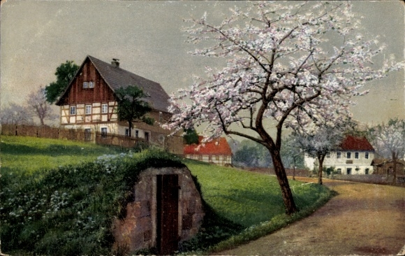 Postcard Nenke & Ostermaier Series 294 No. 4508, Tree Blossom
