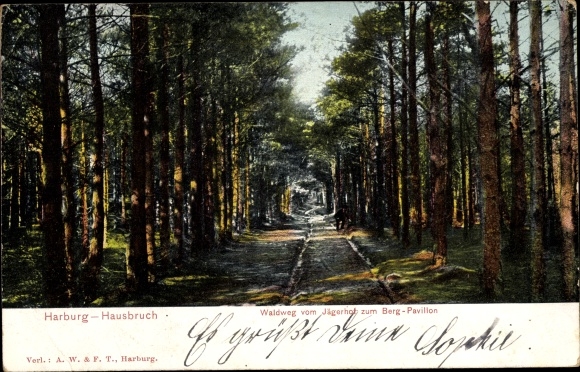 Postcard Hamburg Harburg Hausbruch, forest path from Jägerhof to Berg Pavilion
