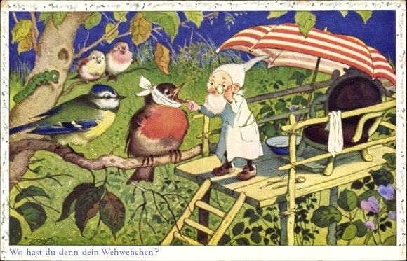 Artist Postcard Baumgarten, Fritz, Where is your ache, dwarf, birds