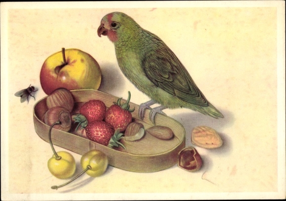 Artist PC rose heads on a fruit bowl, bow tie