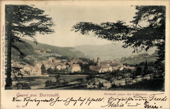 Postcard Bad Herrenalb in the Black Forest, landscape view from Falkenstein, group photo