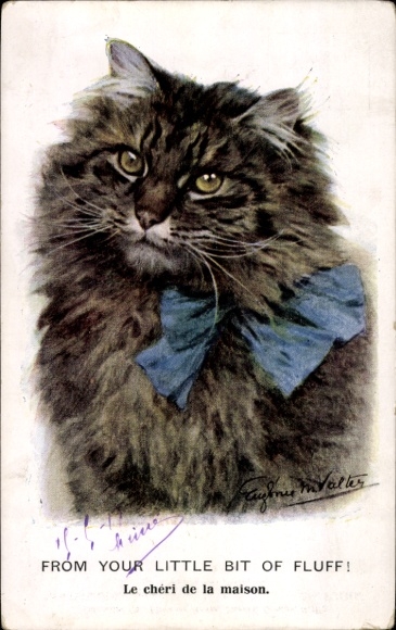 Künstler Ak Valter, Eugenie, Katze mit Halsband, Portrait