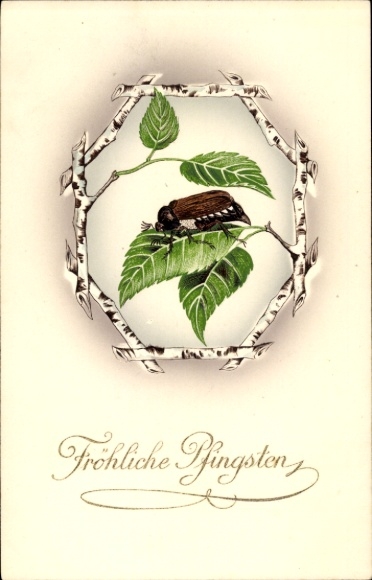 Passepartout Postcard Congratulations Pentecost, Maybug