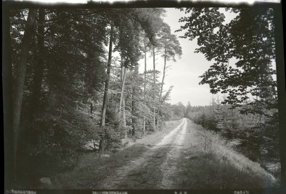 5 Zelluloid Negative Wellen Beverstedt in Niedersachsen, Waldweg, Haus, Kiesgrube