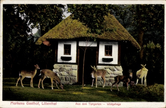 KP Lilienthal Dolna Saksonia, ogród zoologiczny, rezerwat zwierzyny łownej