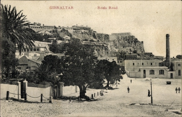 Ak Gibraltar, Rosia Road, palmbomen, huizen, straat, bergen