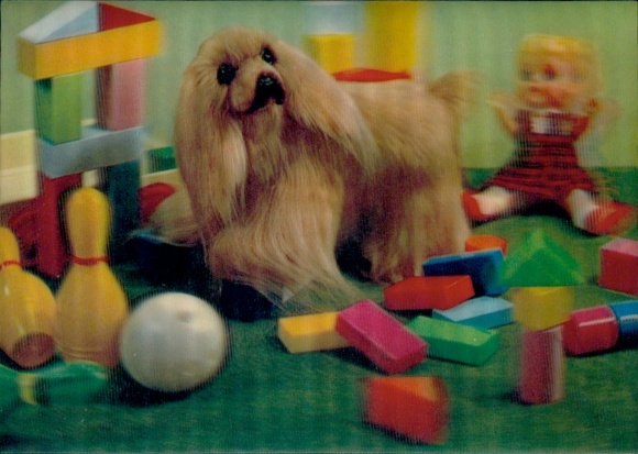 3-D Ak Puppy, Hund