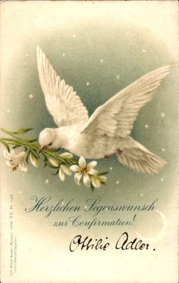 lito gratulacje, potwierdzenie, gołąb, kwiaty