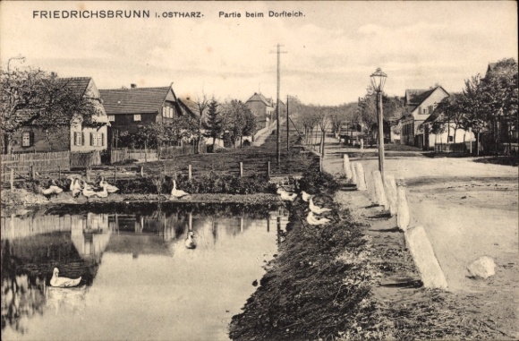 Ak Friedrichsbrunn Thale im Harz,  Dorfteich, Enten, Häuser, Straße