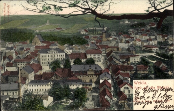 Ak Weida in Thüringen, Ansicht von  farbige Darstellung, Wohnhäuser, Stadtansicht, hohe Bäume