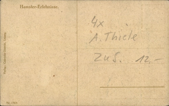Artist Postcard Thiele, Arthur, hamster experiences, bad prospects, Meiers Gutshof, barbed wire