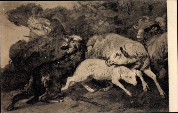 Postcard Eagle saves sheep from the wolf, drawn