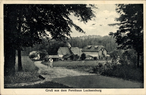Ak Ohorn in Saksen, Forsthaus Luchsenburg