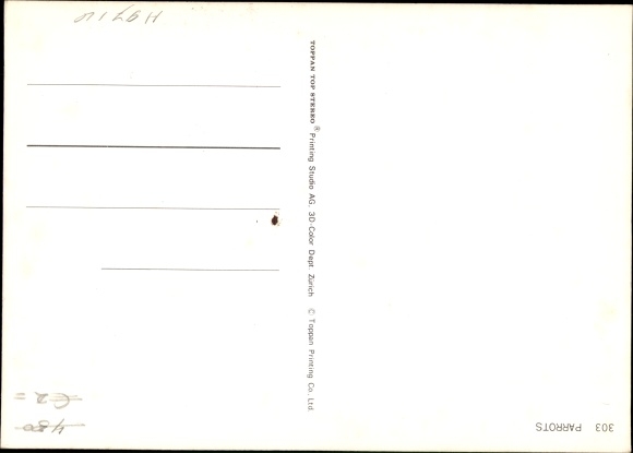 3 D Postcard Parrots, budgerigars and parrot