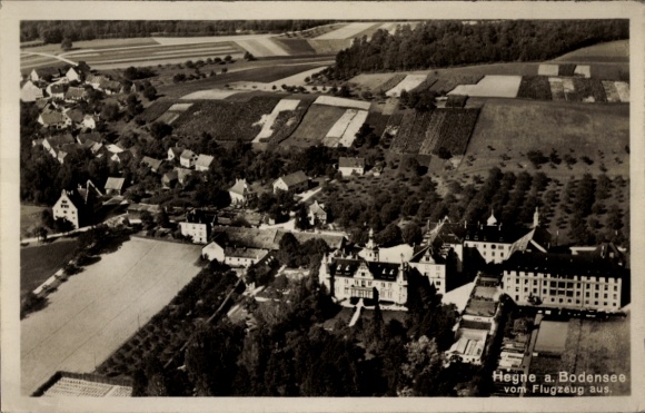 Ak Hegne Allensbach am Bodensee, Luftaufnahme von Hegne, landwirtschaftliche Felder, Gebäude